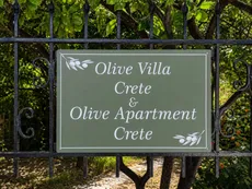 Olive Villa Crete and Olive Apartment Crete